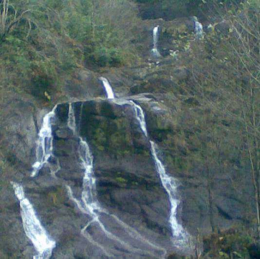 Çayeli Aşıklar Köyü Resimleri 5