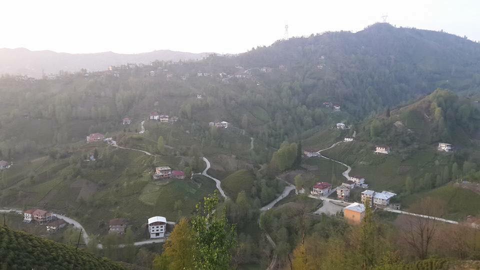 Çayeli Aşıklar Köyü Resimleri 6