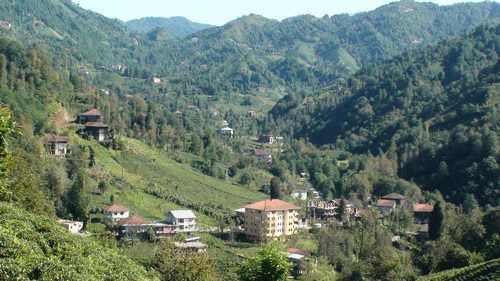 Çayeli Aşıklar Köyü Resimleri 8