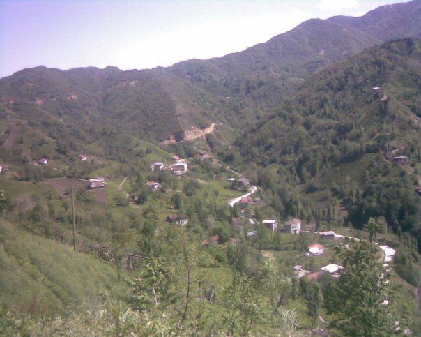Çayeli Aşıklar Köyü Resimleri 9
