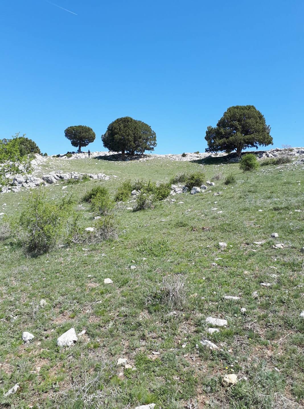 Çorum Aksungur Köyü Resimleri 4