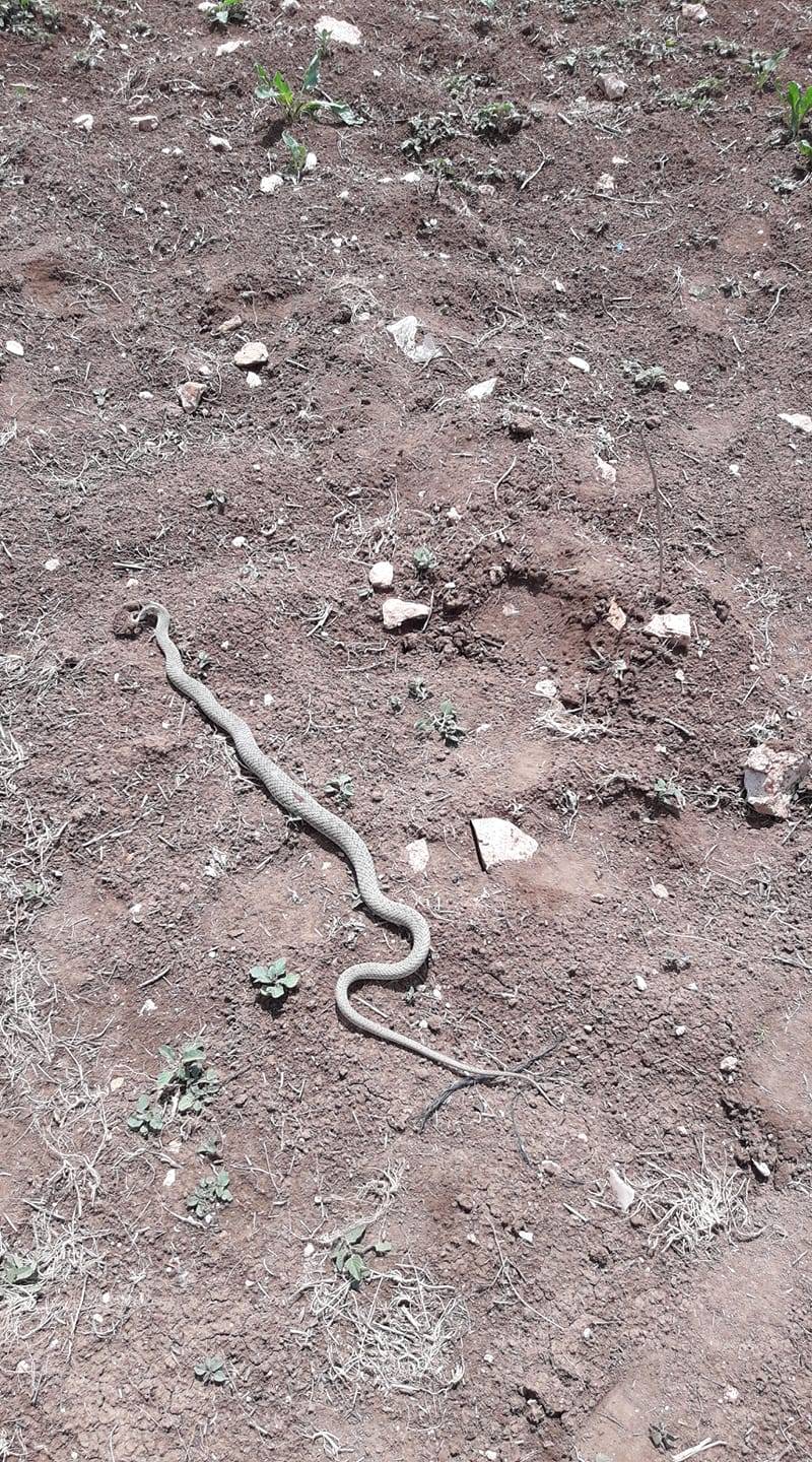 Sarayönü Kuyulusebil Köyü Resimleri 3