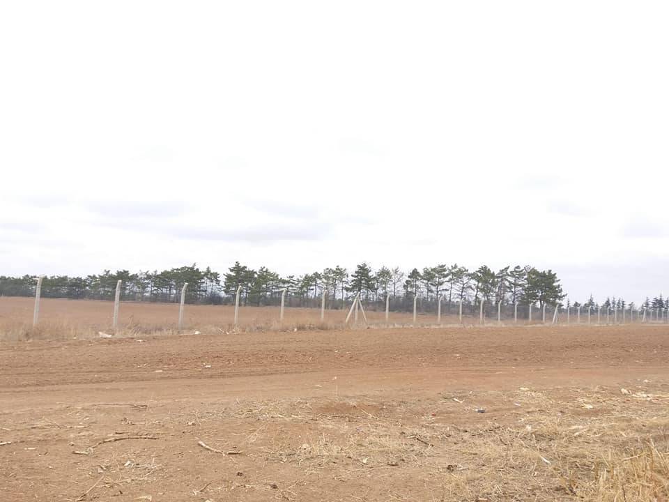 Sarayönü Özkent Köyü Resimleri 2