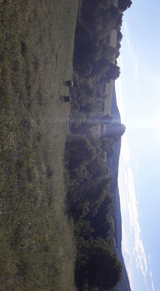 Çorum Aşağısaraylı  Köyü Resimler 3