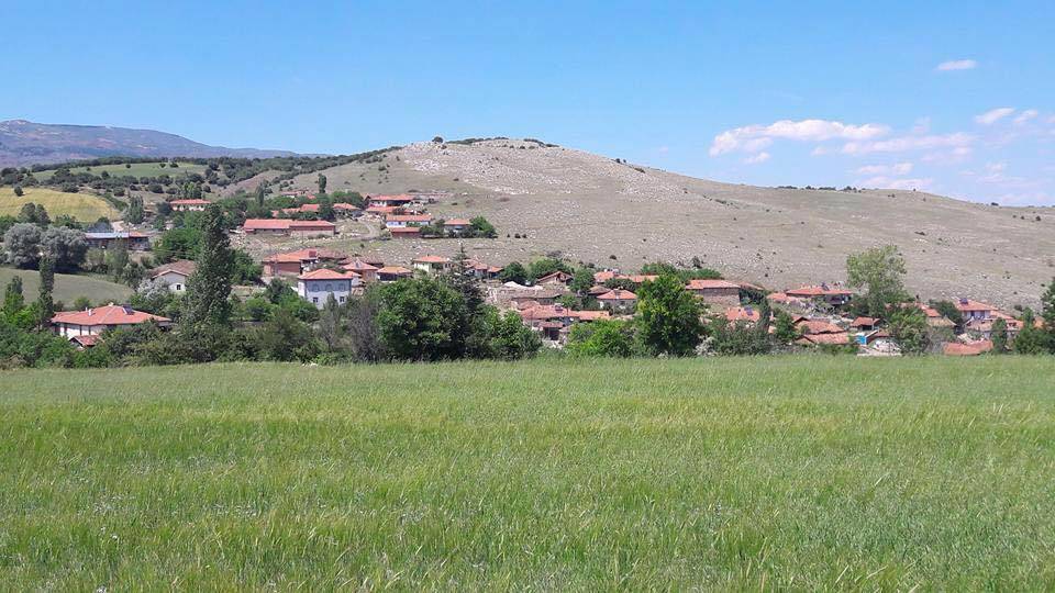 Çorum Aşağısaraylı  Köyü Resimler 5