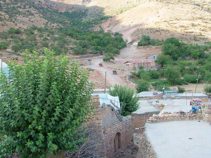 Gercüş Boğazköy Köyü Resimleri 10