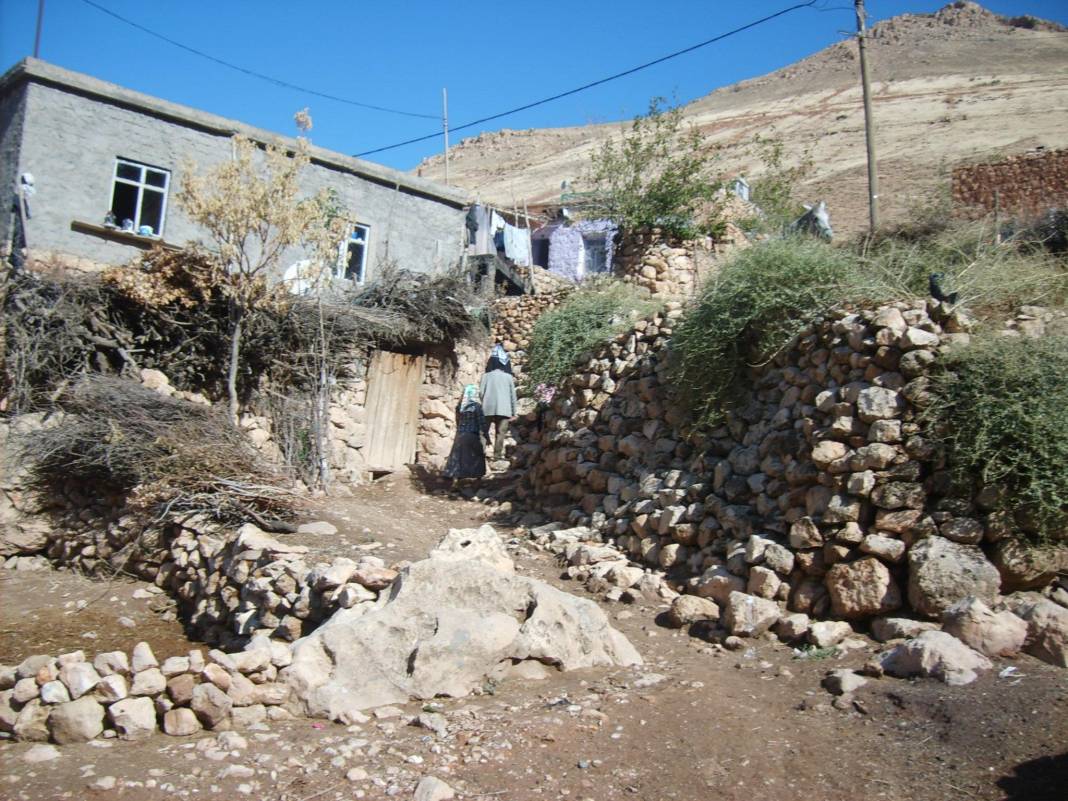 Gercüş Boğazköy Köyü Resimleri 19