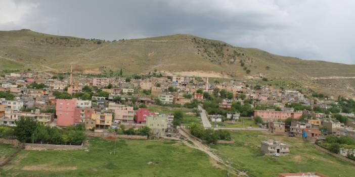 Gercüş Cevizli Köyü Resimleri