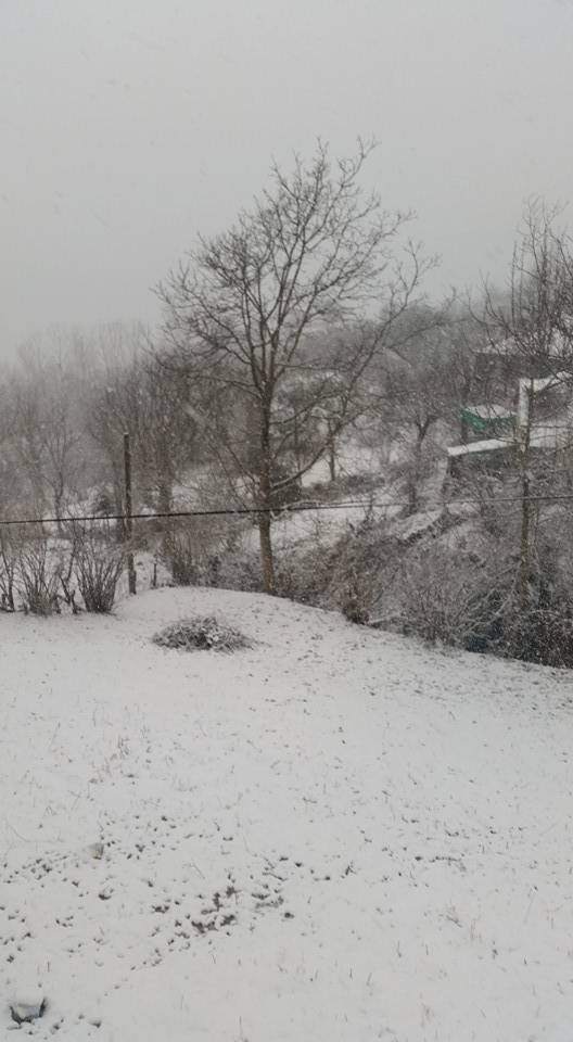 Ayancık Hacıoğlu Köyü Resimleri 1