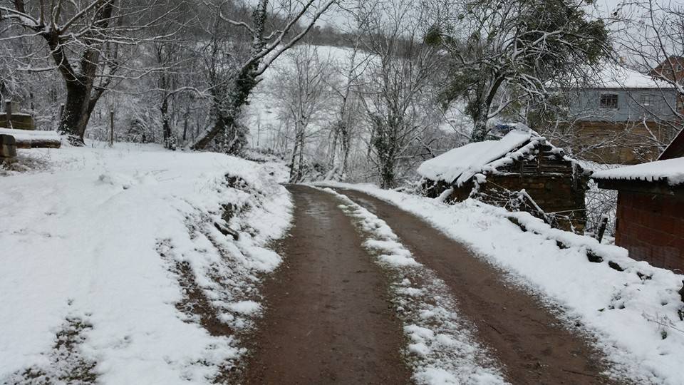 Ayancık Hacıoğlu Köyü Resimleri 2