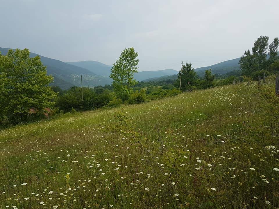 Ayancık Hacıoğlu Köyü Resimleri 4