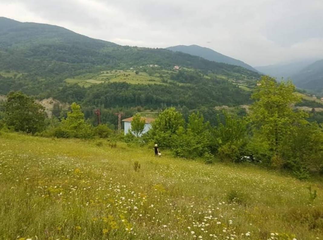 Ayancık Hacıoğlu Köyü Resimleri 5