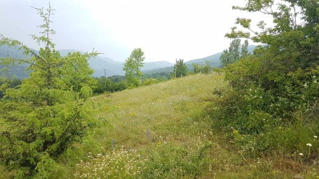 Ayancık Hacıoğlu Köyü Resimleri 7