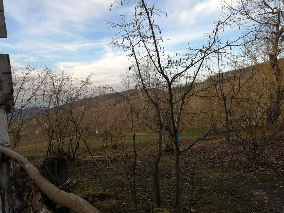 Ayancık Hatip Köyü Resimleri 7