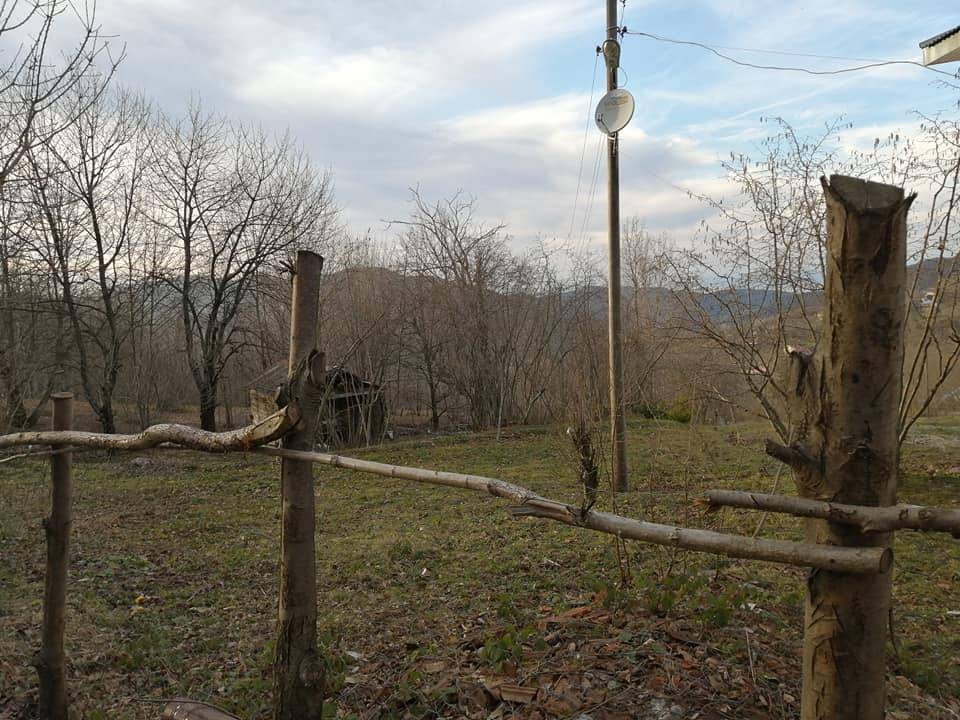 Ayancık Hatip Köyü Resimleri 9