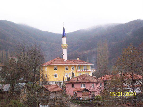 Ayancık Hüseyinbey Köyü Resimleri 1