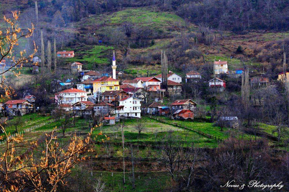 Ayancık Hüseyinbey Köyü Resimleri 12