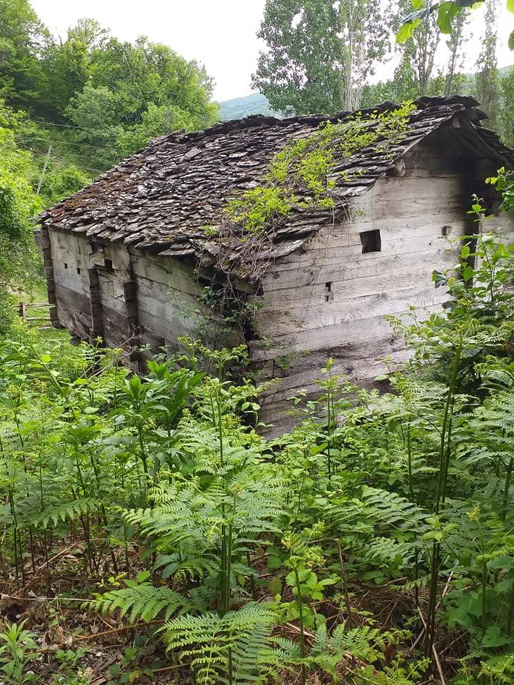 Ayancık Hüseyinbey Köyü Resimleri 7