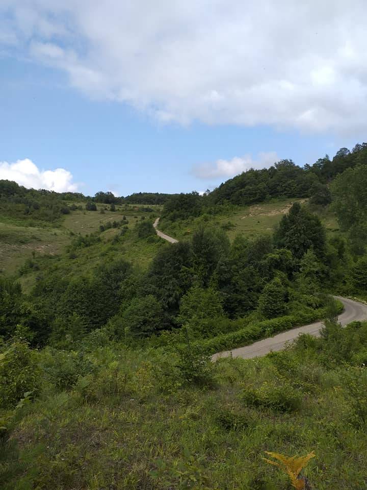 Ayancık Hüseyinbey Köyü Resimleri 8