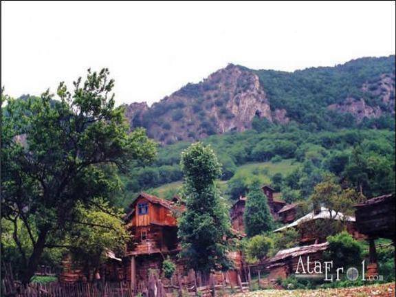 Ayancık İnaltı Köyü Resimleri 1