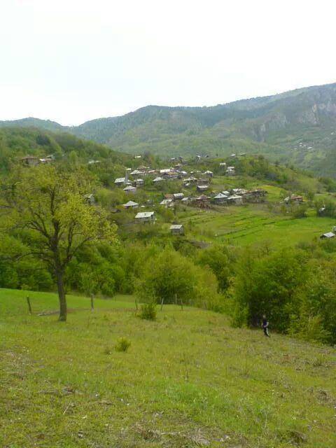 Ayancık İnaltı Köyü Resimleri 2