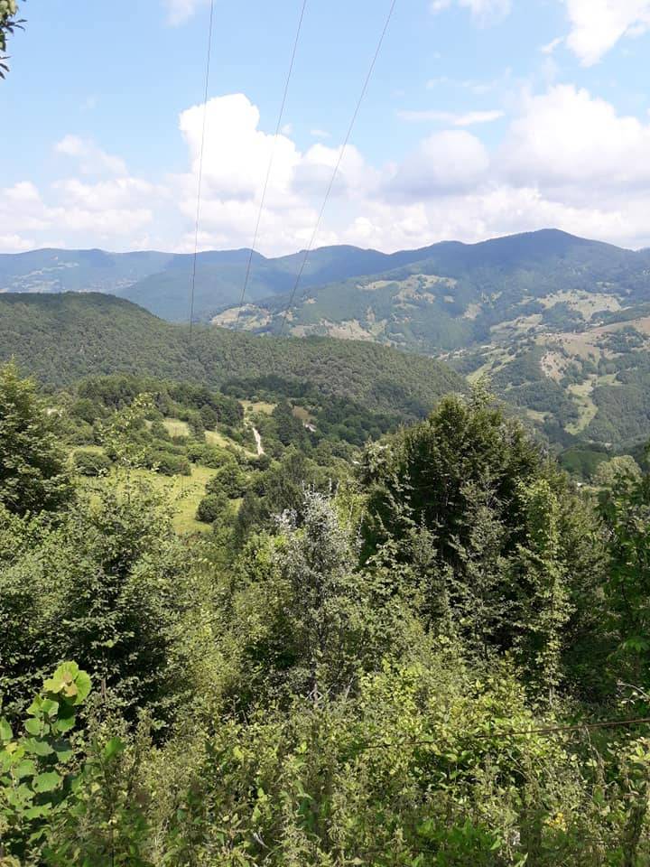 Ayancık İnaltı Köyü Resimleri 4