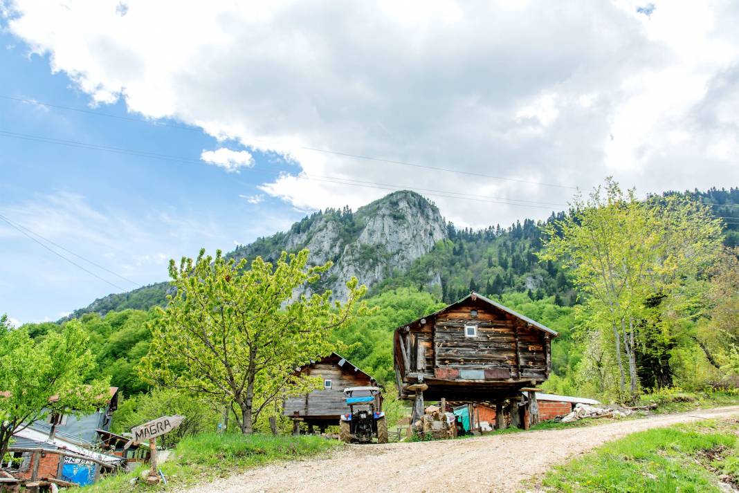 Ayancık İnaltı Köyü Resimleri 5