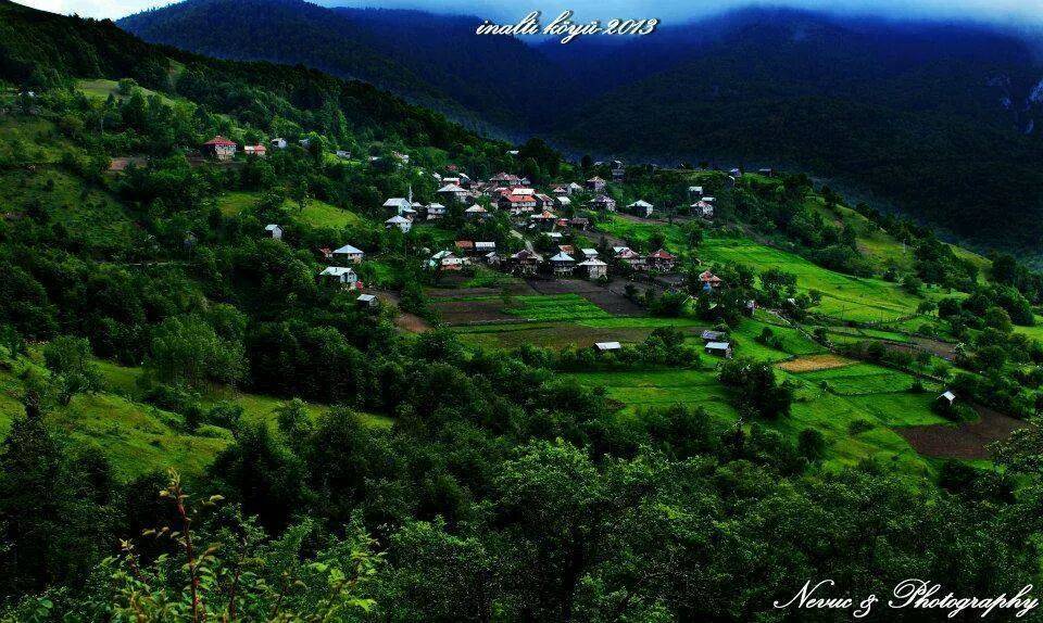 Ayancık İnaltı Köyü Resimleri 6