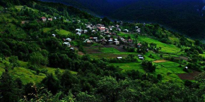 Ayancık İnaltı Köyü Resimleri