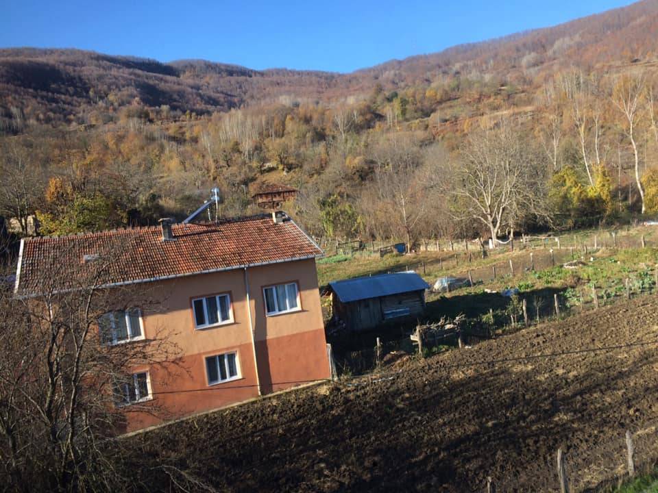 Ayancık Kaldırayak Köyü Resimleri 5