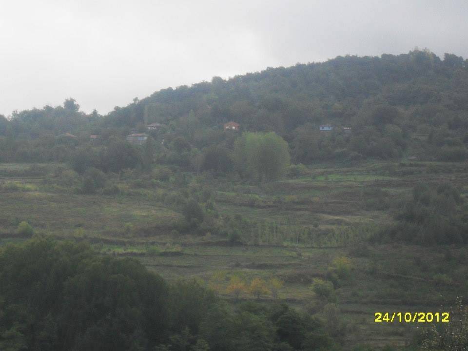 Ayancık Kestanelik Köyü Resimleri 2