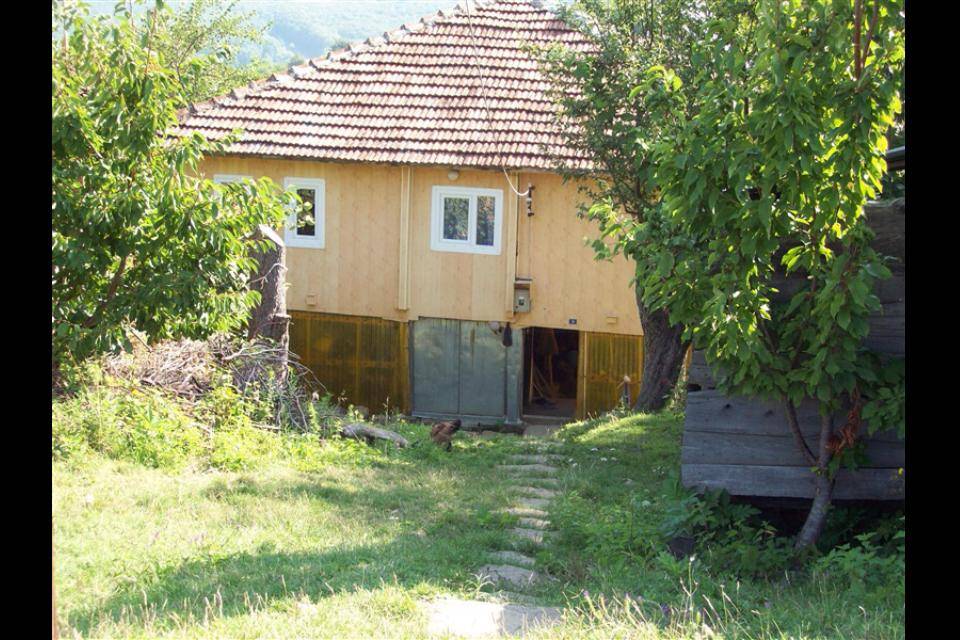 Ayancık Kestanelik Köyü Resimleri 3