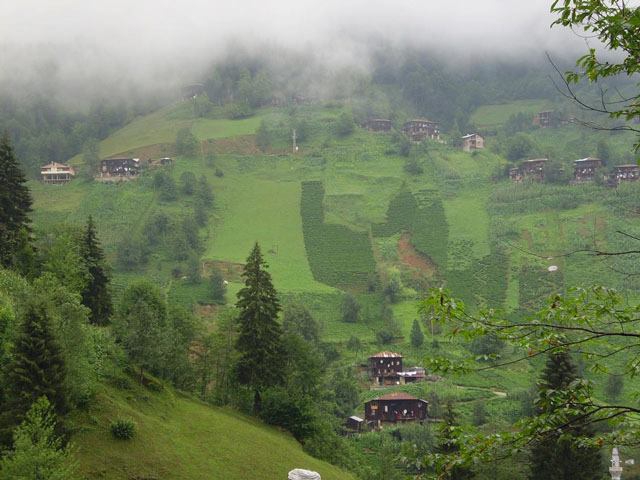 Çayeli Çataldere Köyü Resimleri 1