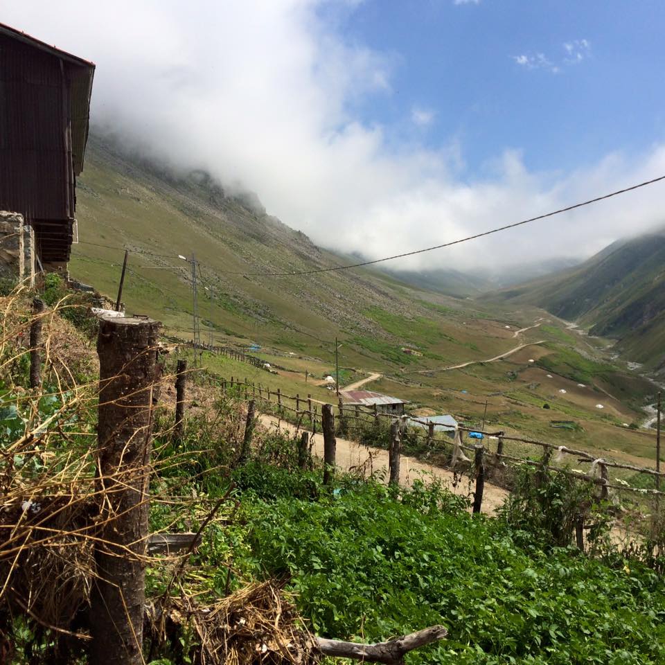 Çayeli Çataldere Köyü Resimleri 10