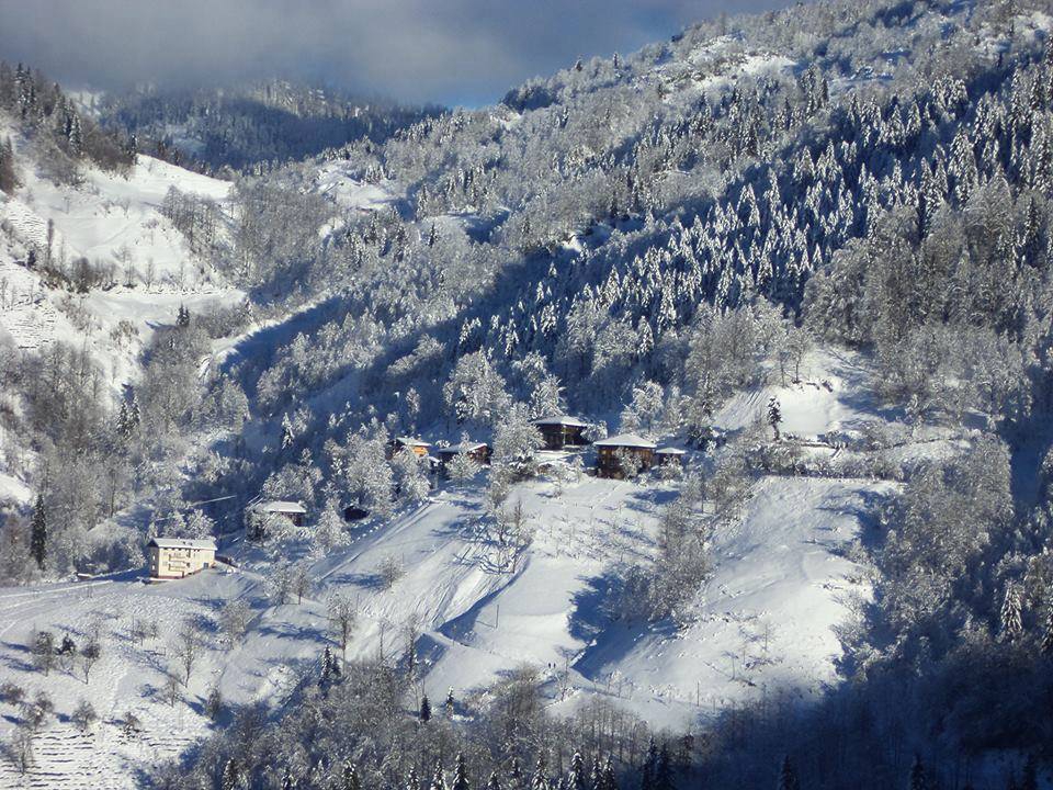 Çayeli Çataldere Köyü Resimleri 11