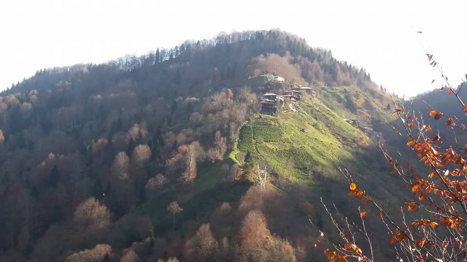 Çayeli Çataldere Köyü Resimleri 5