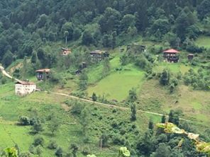 Çayeli Çataldere Köyü Resimleri 6