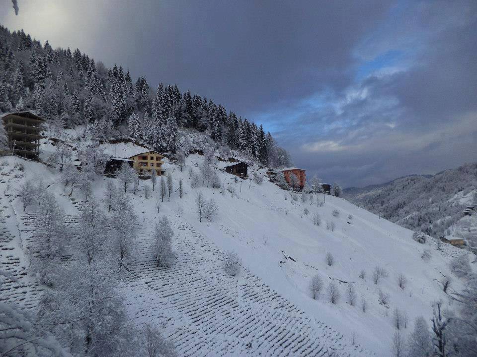 Çayeli Çataldere Köyü Resimleri 8