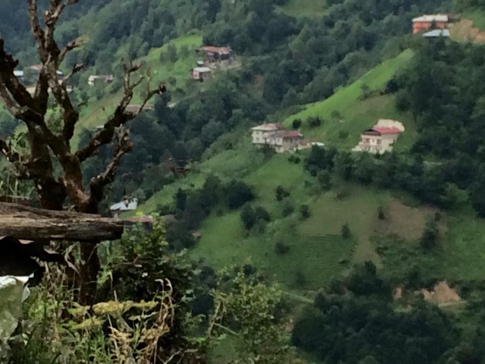 Çayeli Çataldere Köyü Resimleri 9