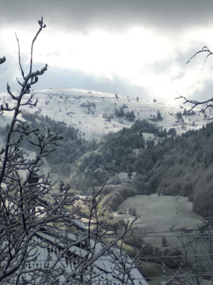 Ayancık Kozcuğaz Köyü Resimleri 10