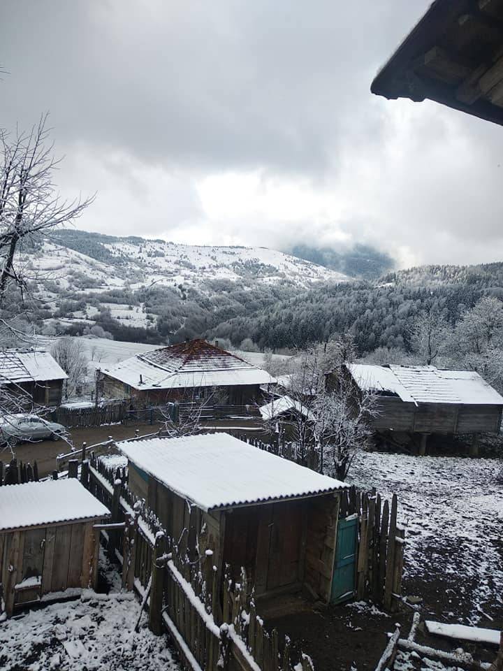 Ayancık Kozcuğaz Köyü Resimleri 11