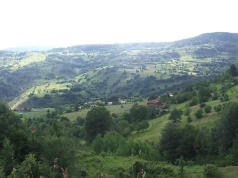 Ayancık Kozcuğaz Köyü Resimleri 2