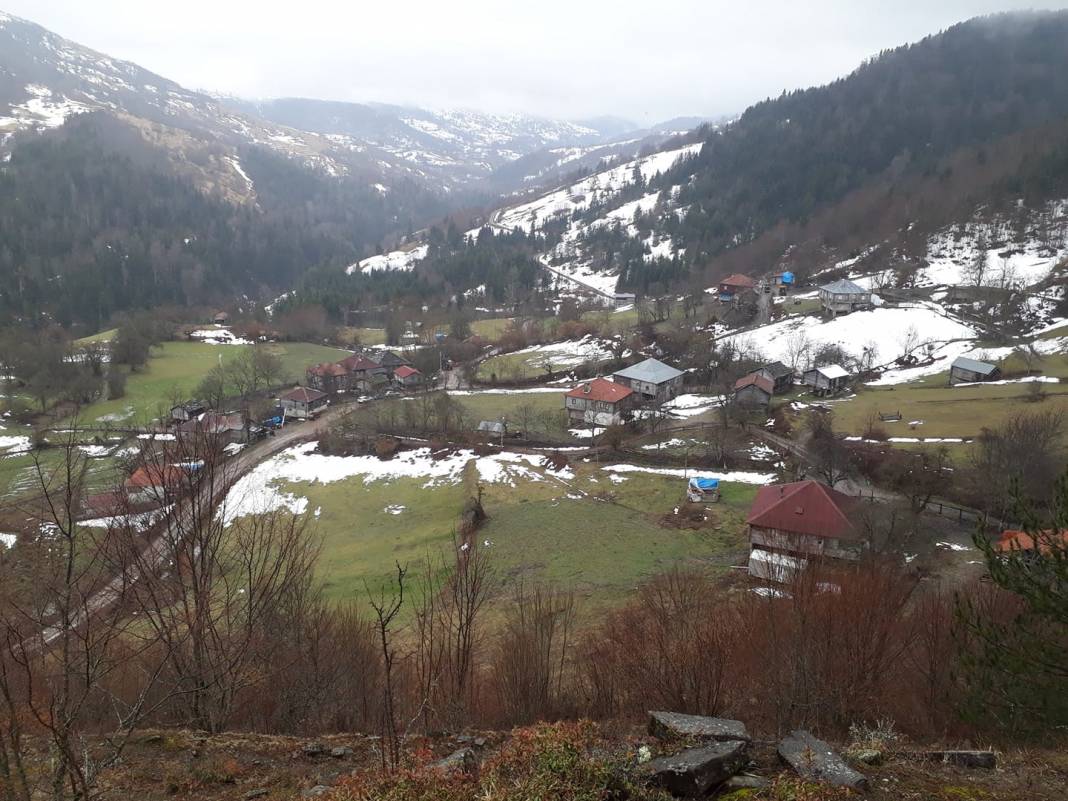 Ayancık Kozcuğaz Köyü Resimleri 6