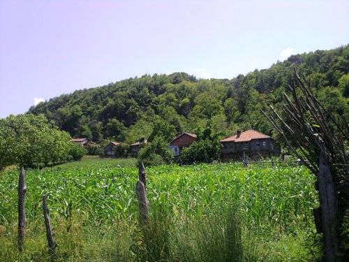 Ayancık Kozsökü Köyü Resimleri 1