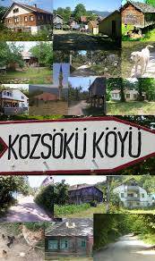 Ayancık Kuzköy Köyü Resimleri 1