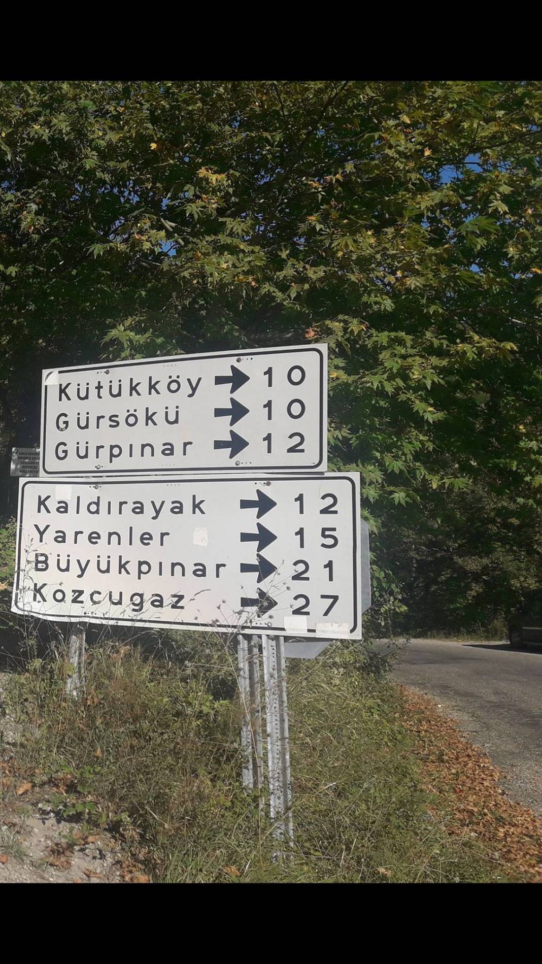 Ayancık Kütükköy Köyü Resimleri 3