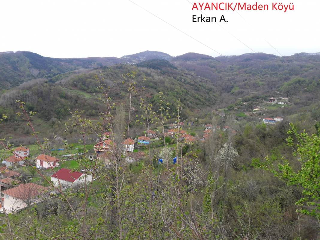 Ayancık Maden Köyü Resimleri 12
