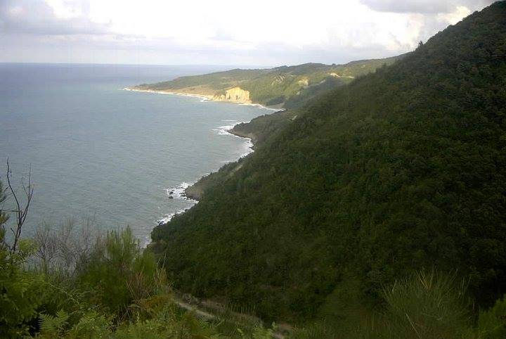 Ayancık Maden Köyü Resimleri 14