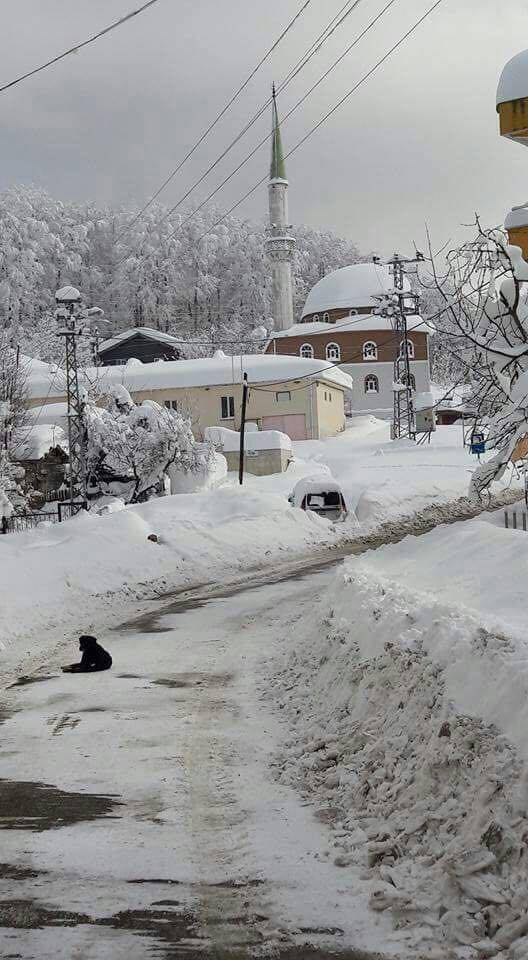 Ayancık Maden Köyü Resimleri 3
