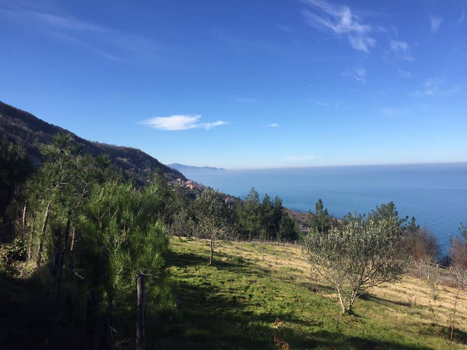 Ayancık Maden Köyü Resimleri 5